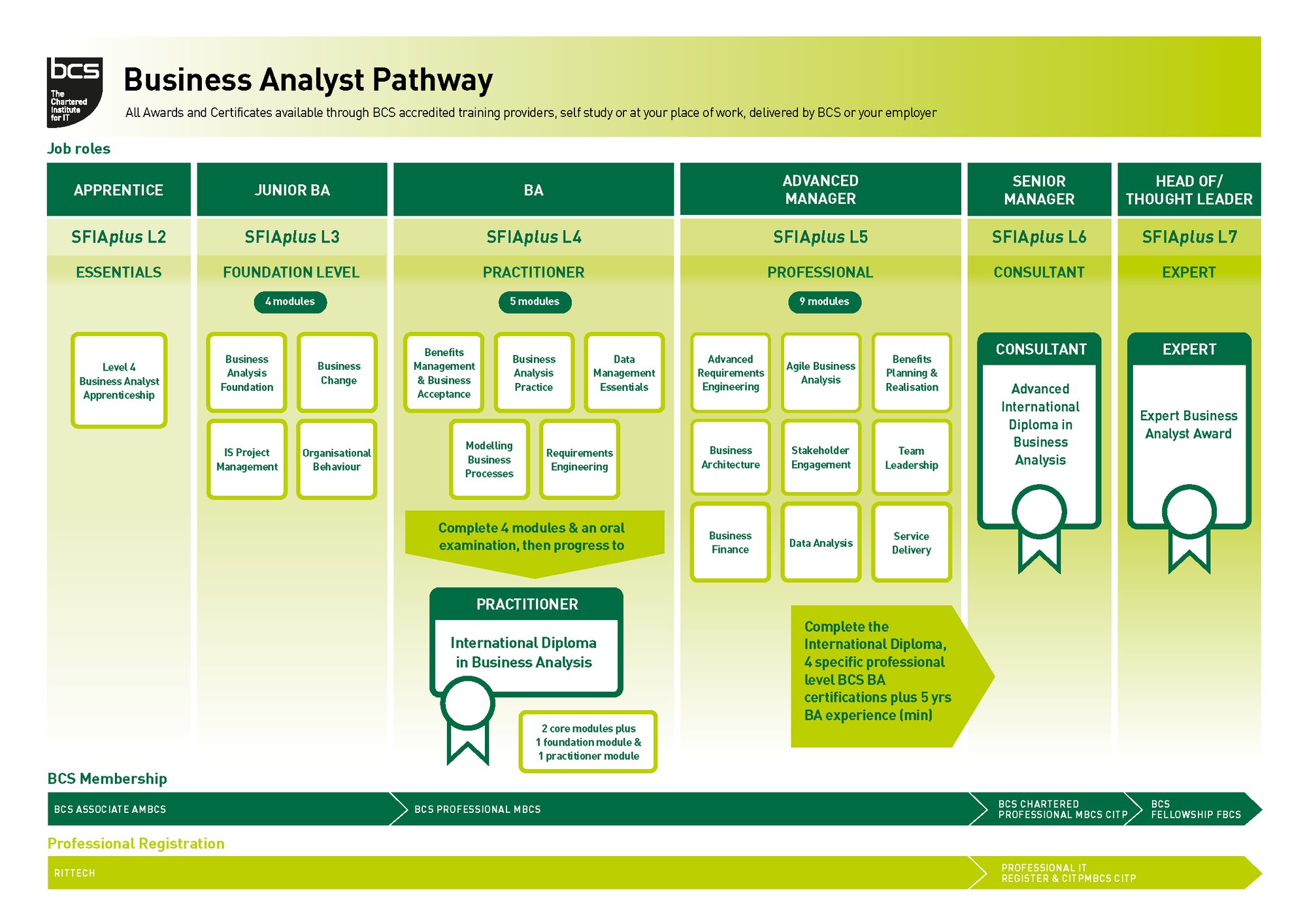 ba-pathway