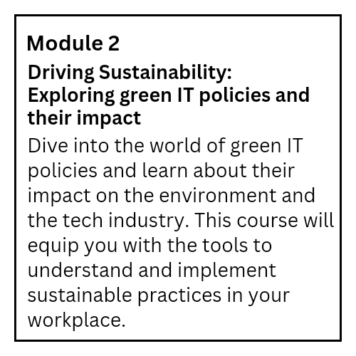 Module 2, driving sustainability. Exploring green IT policies and their impact. Dive into the world of green IT policies and learn about their impact on the environment and the tech industry.