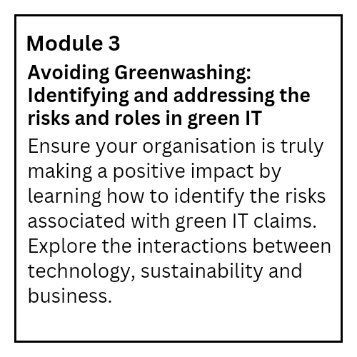 Module 3, avoiding greenwashing. Identifying and addressing the risks and roles in green IT